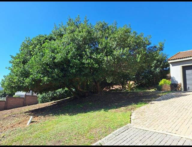 LAND FOR SALE IN BERGSIG